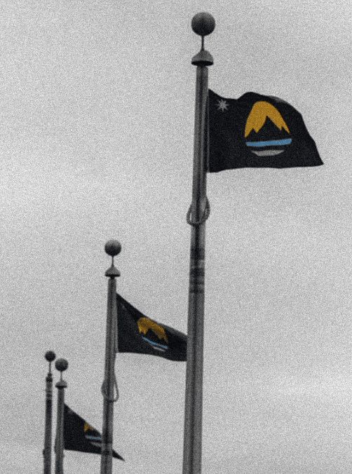 reno-flags-city-hall